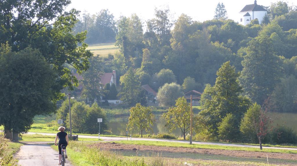 Penzion Pod Jáchymem Dobra Voda  Esterno foto